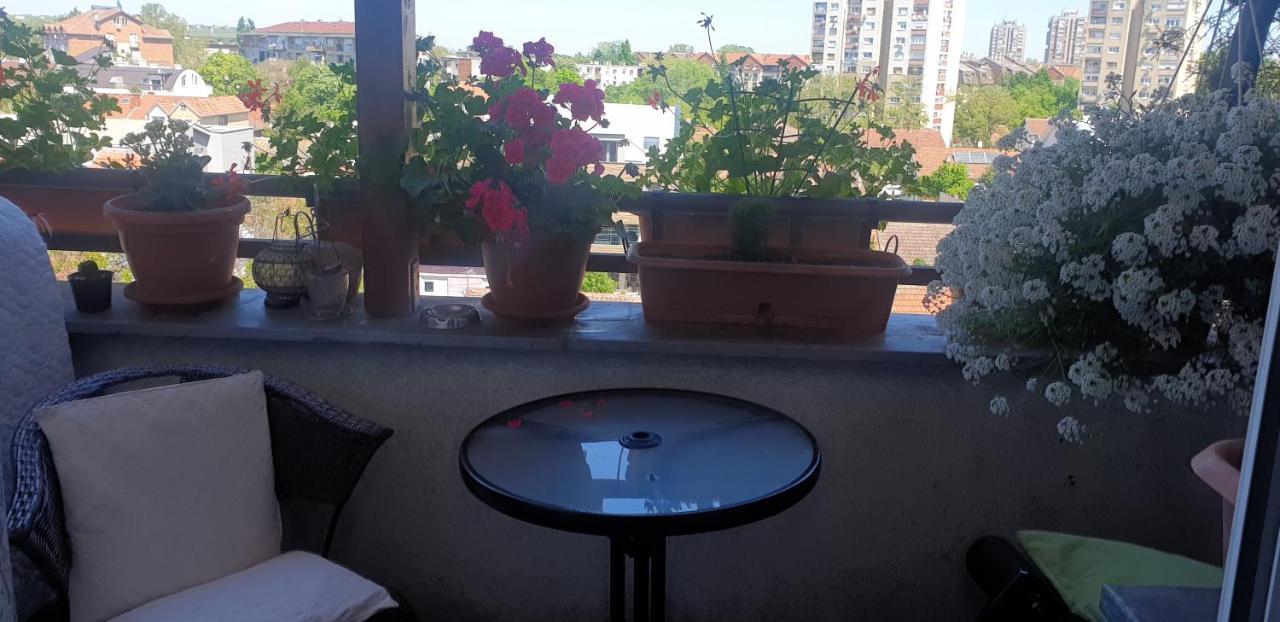 Apartmani Emerald Dream Novi Sad Dış mekan fotoğraf