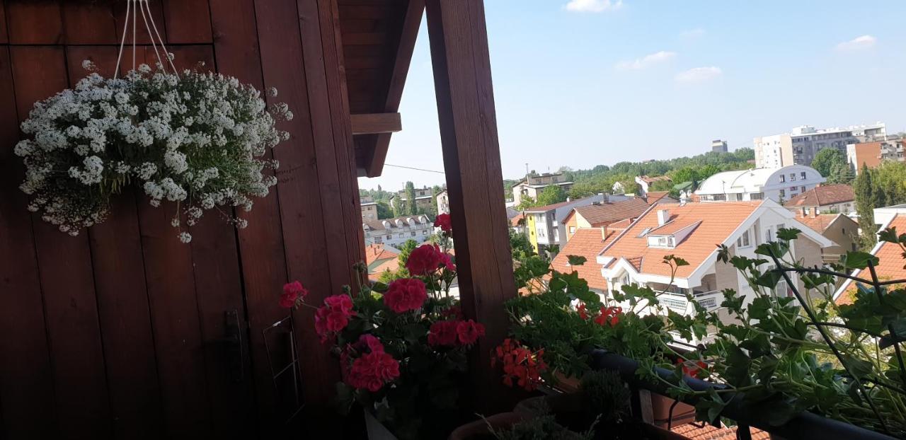 Apartmani Emerald Dream Novi Sad Dış mekan fotoğraf