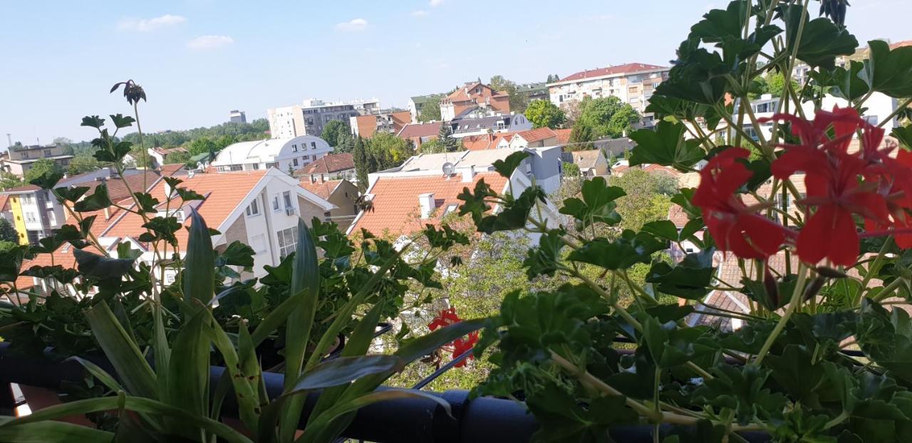 Apartmani Emerald Dream Novi Sad Dış mekan fotoğraf